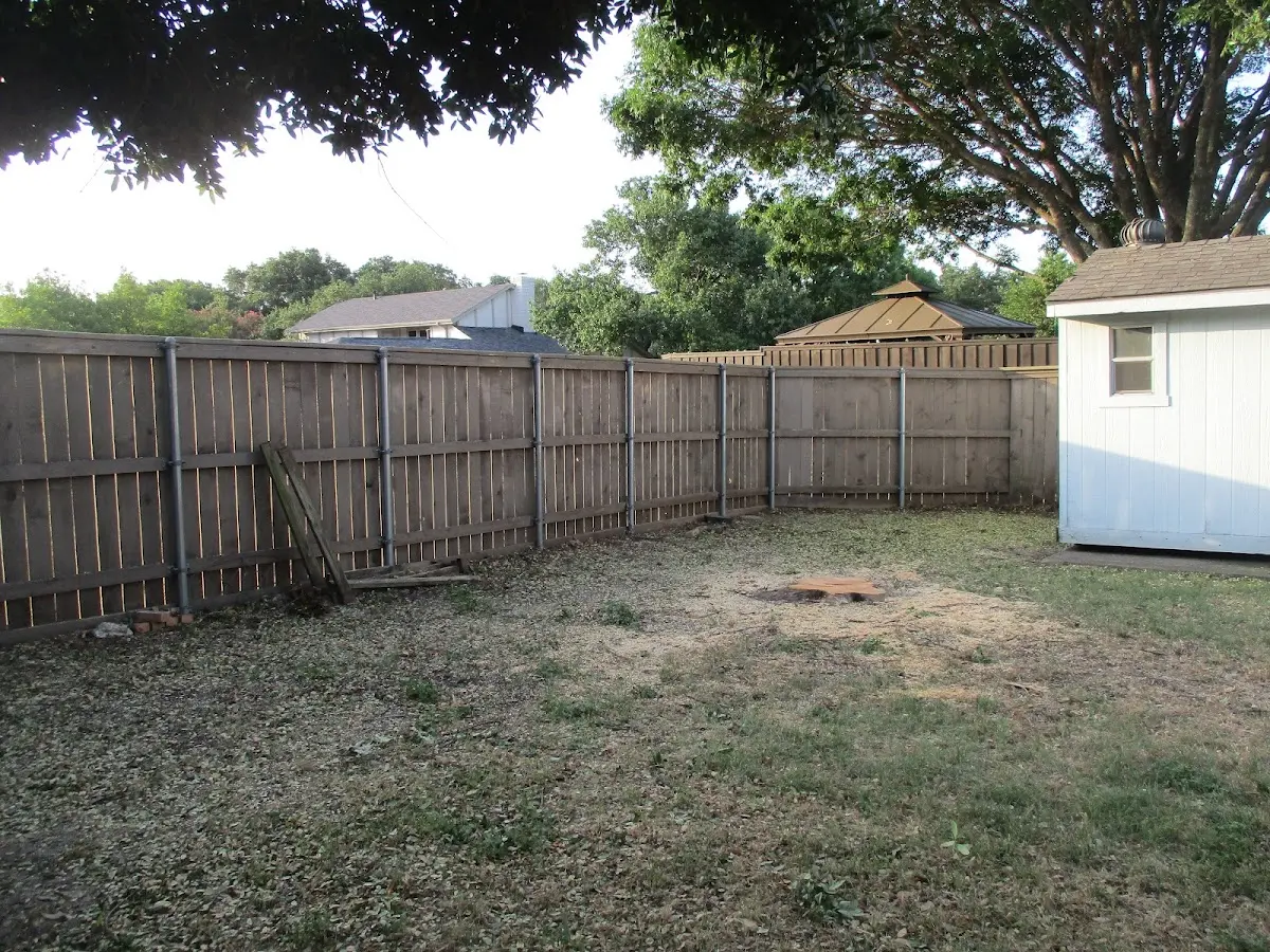 Cleared yard after professional tree removal in Oxford